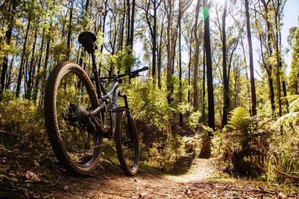 Geführte Mountainbike-Touren am Hochkönig – Aktivurlaub buchen
