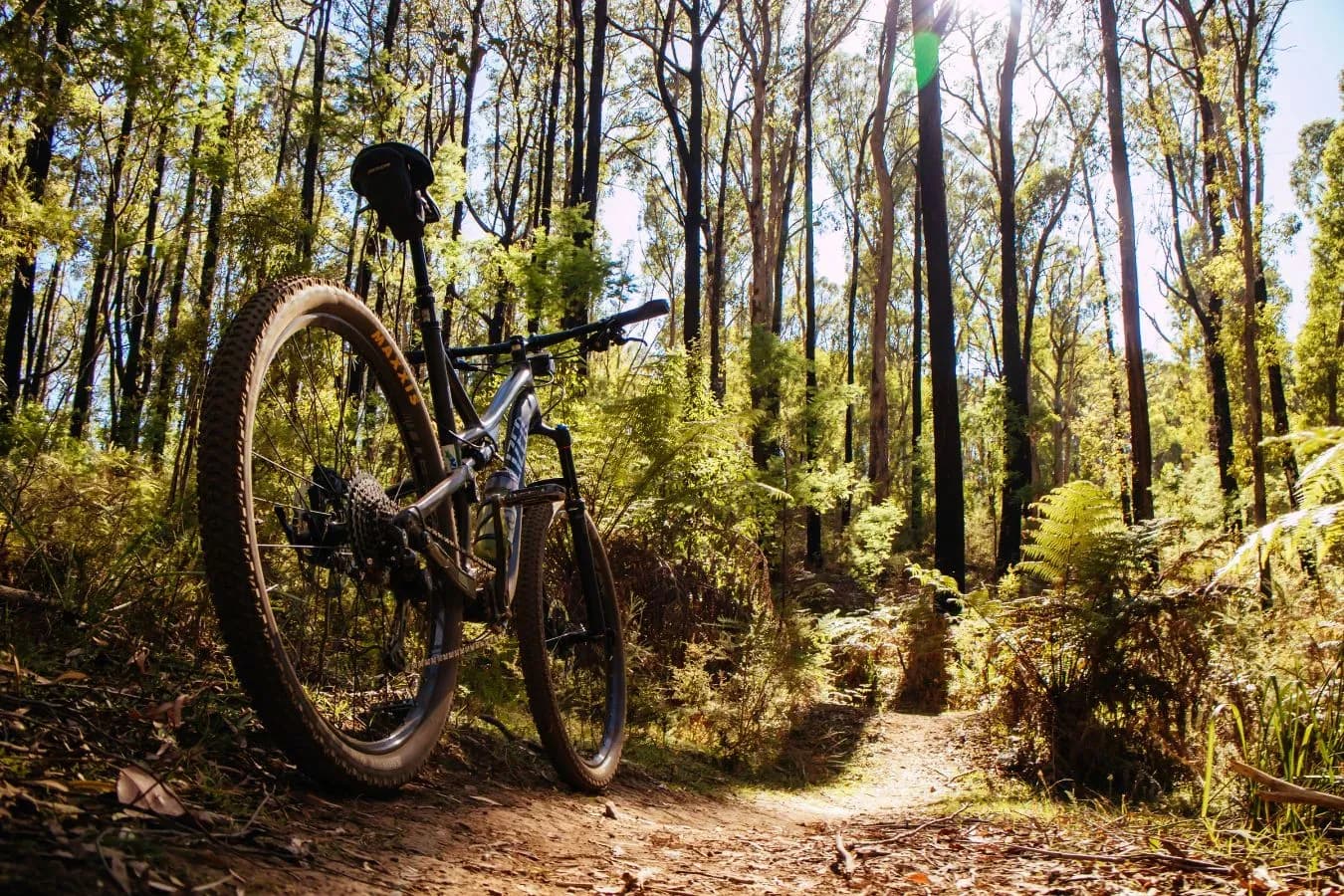 Geführte Mountainbike-Touren am Hochkönig – Aktivurlaub buchen